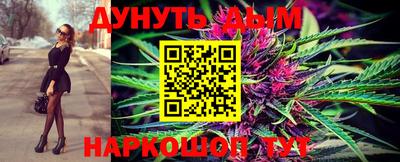 Альфа ПВП Обь