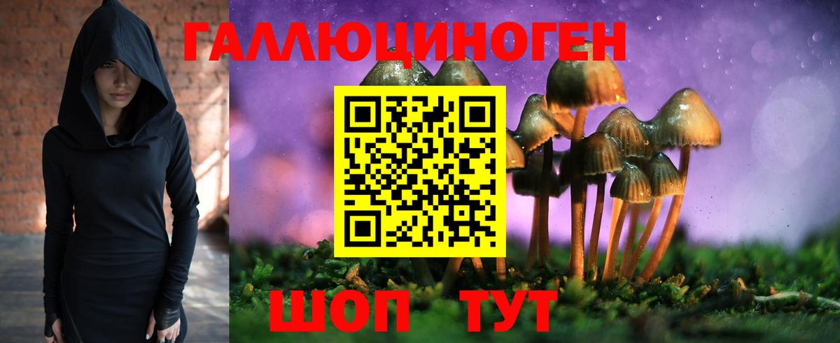 Сунжа  Галлюциногенные грибы ЛСД  Галлюциногенные грибы мицелий  Вход с VPN 
